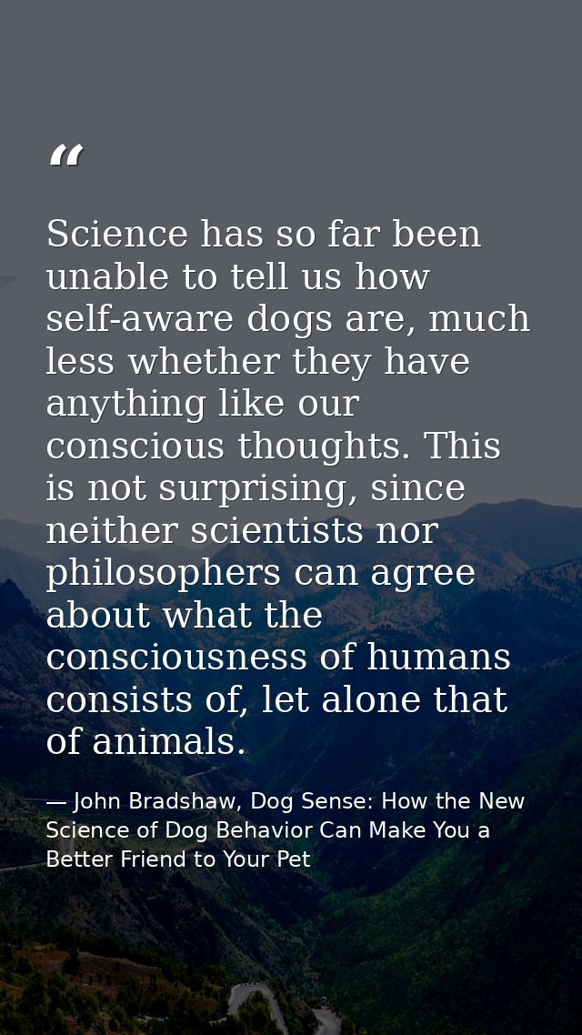 Science has so far been unable to tell us how self-aware dogs are, much less whether they have anything like our conscio — John Bradshaw, Dog Sense: How the New Science of Dog Behavior Can Make You a Better Friend to Your Pet