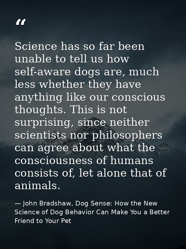 Science has so far been unable to tell us how self-aware dogs are, much less whether they have anything like our conscio — John Bradshaw, Dog Sense: How the New Science of Dog Behavior Can Make You a Better Friend to Your Pet