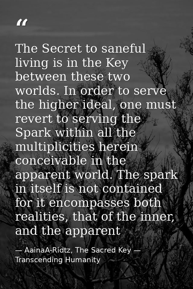 The Secret to saneful living is in the Key between these two worlds. In order to serve the higher ideal, one must revert — AainaA-Ridtz, The Sacred Key — Transcending Humanity