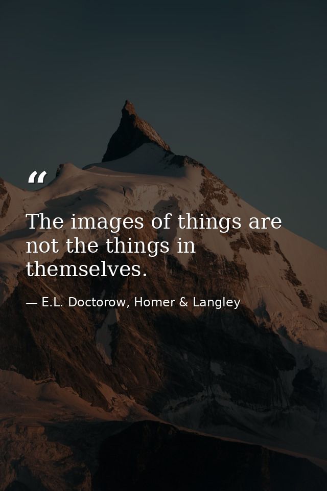 The images of things are not the things in themselves. — E.L. Doctorow, Homer & Langley