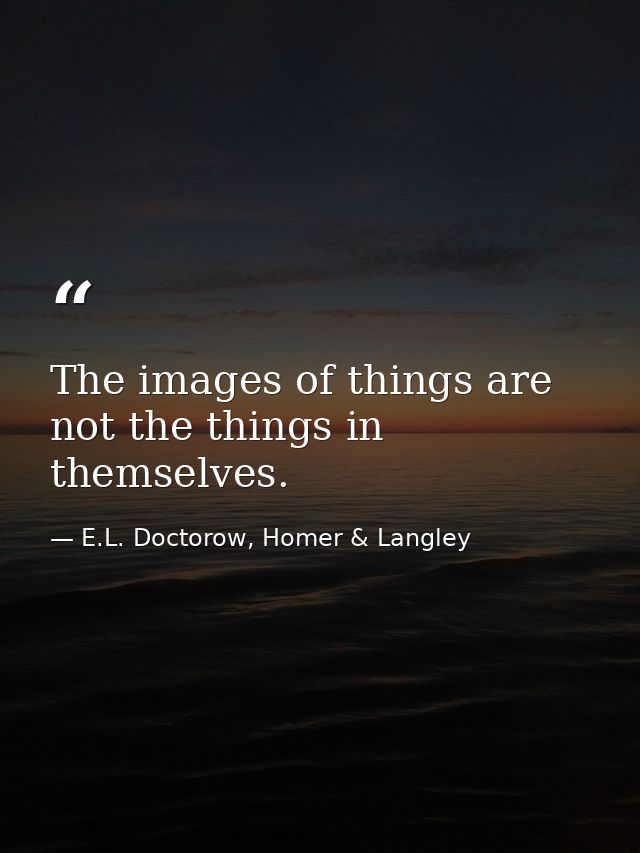 The images of things are not the things in themselves. — E.L. Doctorow, Homer & Langley
