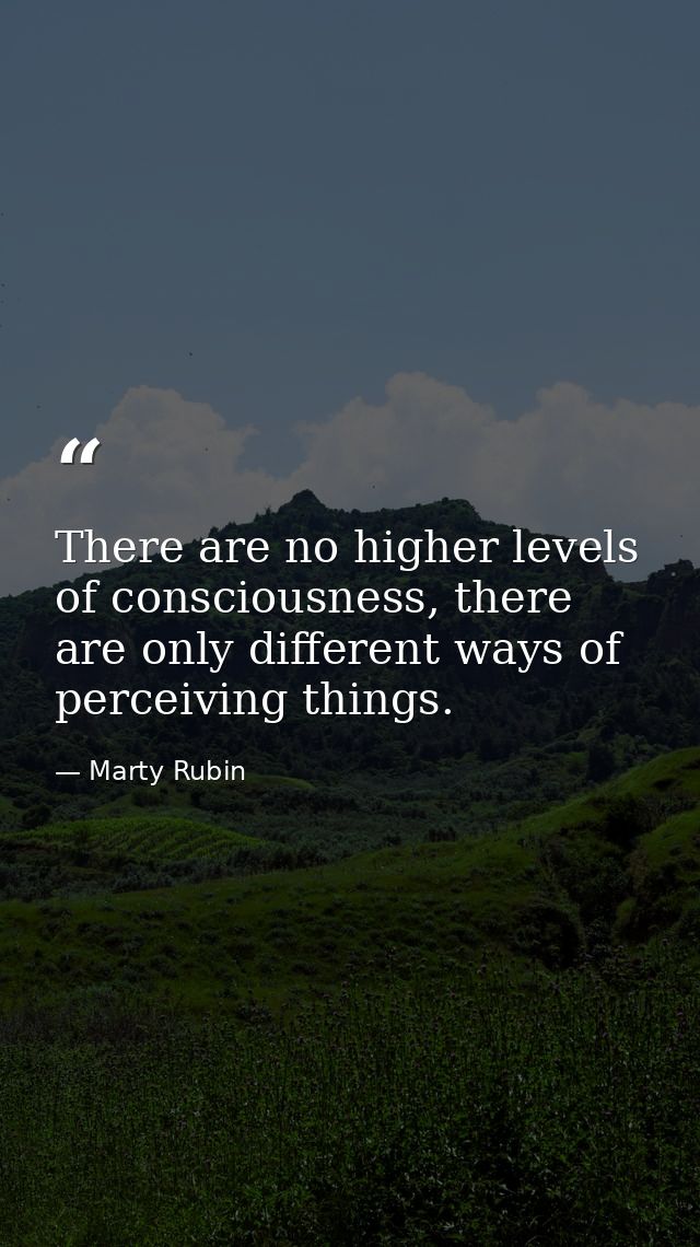 There are no higher levels of consciousness, there are only different ways of perceiving things. — Marty Rubin