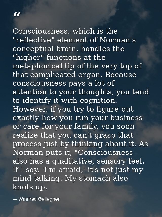 Consciousness, which is the "reflective" element of Norman's conceptual brain, handles the "higher" functions at the met — Winifred Gallagher