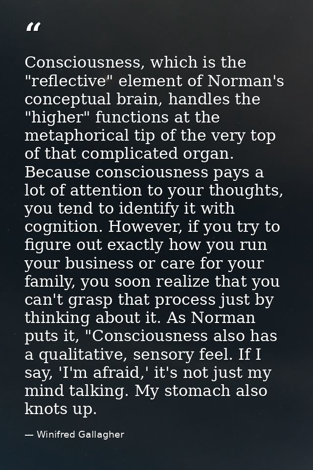 Consciousness, which is the "reflective" element of Norman's conceptual brain, handles the "higher" functions at the met — Winifred Gallagher