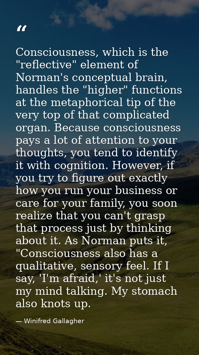 Consciousness, which is the "reflective" element of Norman's conceptual brain, handles the "higher" functions at the met — Winifred Gallagher