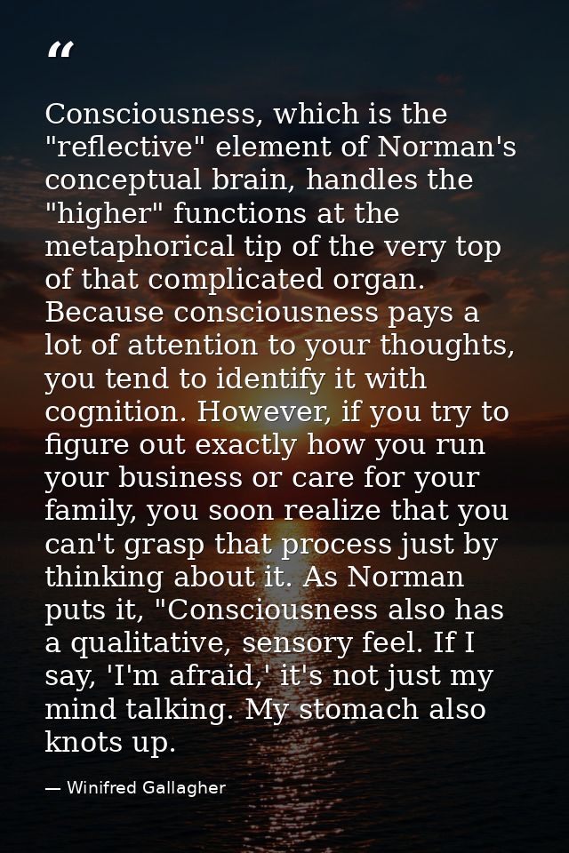Consciousness, which is the "reflective" element of Norman's conceptual brain, handles the "higher" functions at the met — Winifred Gallagher