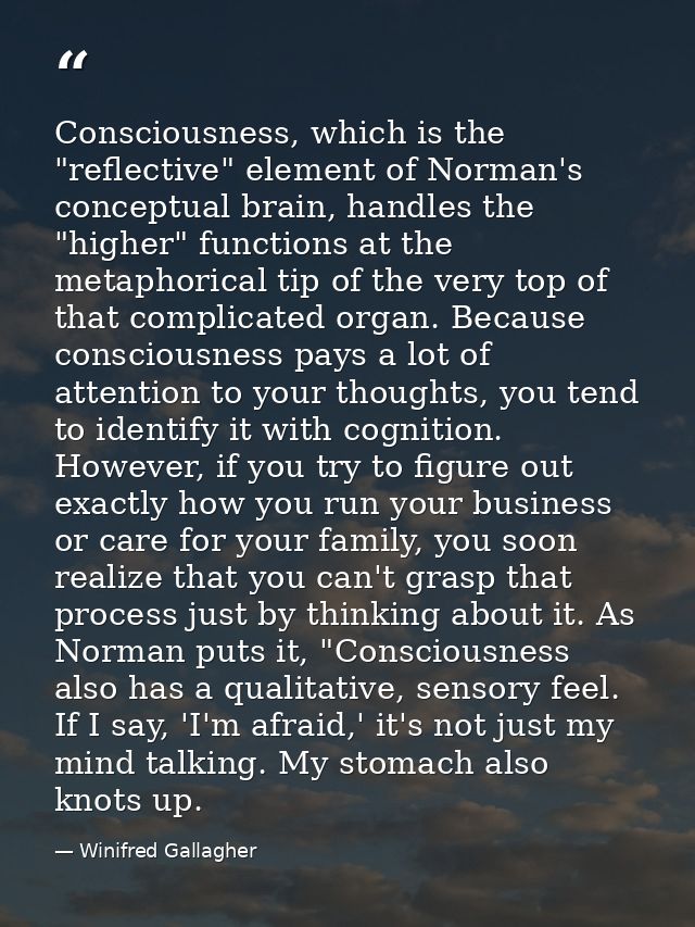 Consciousness, which is the "reflective" element of Norman's conceptual brain, handles the "higher" functions at the met — Winifred Gallagher