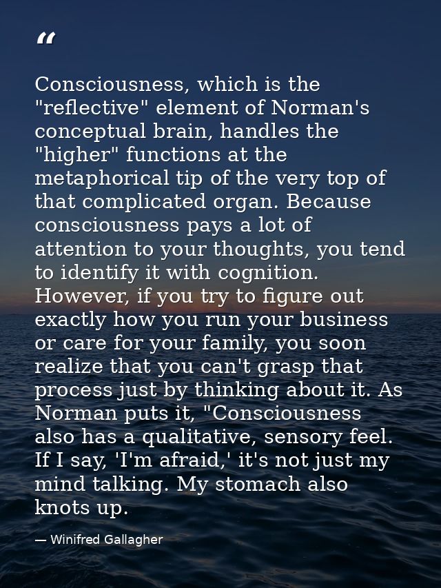 Consciousness, which is the "reflective" element of Norman's conceptual brain, handles the "higher" functions at the met — Winifred Gallagher