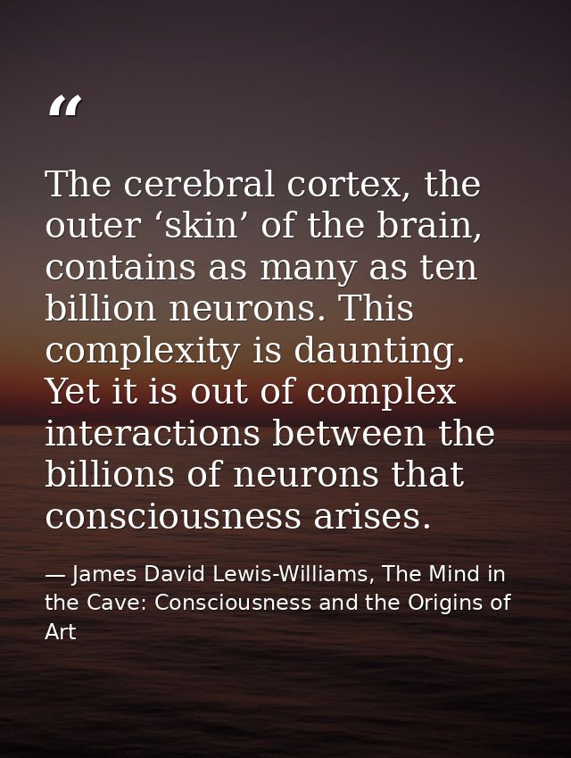 The cerebral cortex, the outer ‘skin’ of the brain, contains as many as ten billion neurons. This complexity is daunting — James David Lewis-Williams, The Mind in the Cave: Consciousness and the Origins of Art
