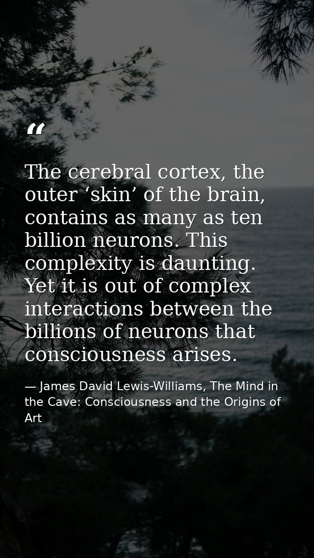 The cerebral cortex, the outer ‘skin’ of the brain, contains as many as ten billion neurons. This complexity is daunting — James David Lewis-Williams, The Mind in the Cave: Consciousness and the Origins of Art