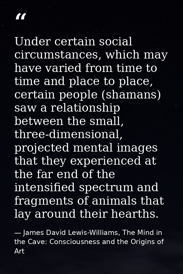 Under certain social circumstances, which may have varied from time to time and place to place, certain people (shamans) — James David Lewis-Williams, The Mind in the Cave: Consciousness and the Origins of Art