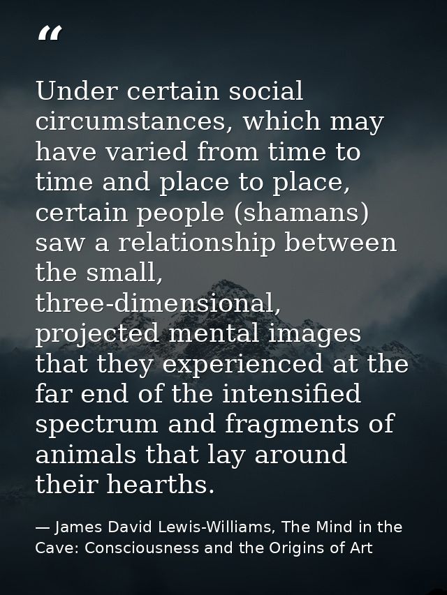 Under certain social circumstances, which may have varied from time to time and place to place, certain people (shamans) — James David Lewis-Williams, The Mind in the Cave: Consciousness and the Origins of Art