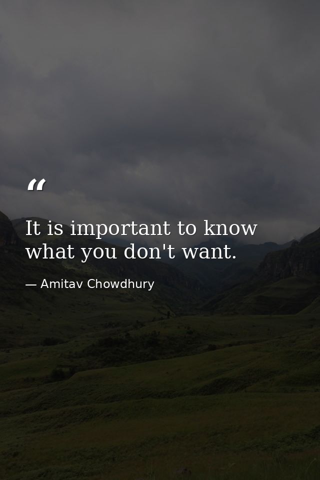 It is important to know what you don't want. — Amitav Chowdhury