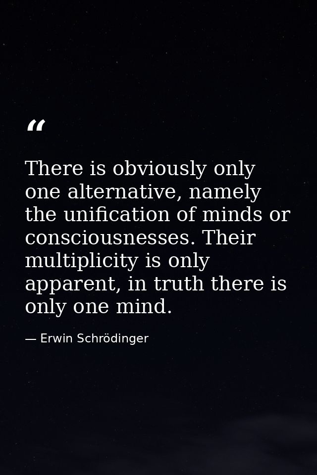 There is obviously only one alternative, namely the unification of minds or consciousnesses. Their multiplicity is only  — Erwin Schrödinger