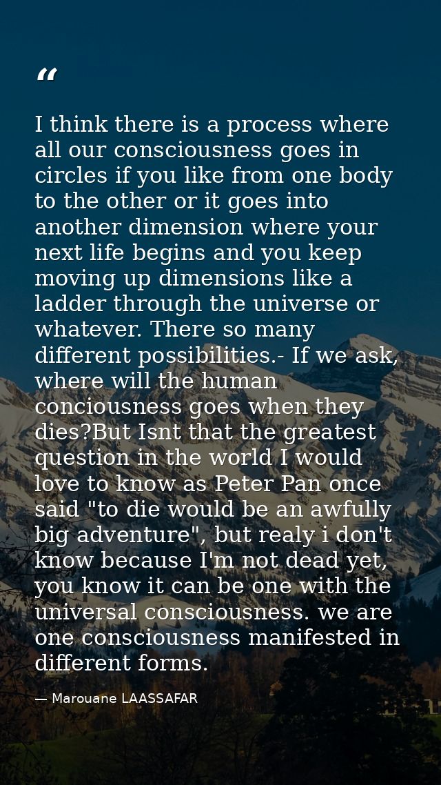 I think there is a process where all our consciousness goes in circles if you like from one body to the other or it goes — Marouane LAASSAFAR