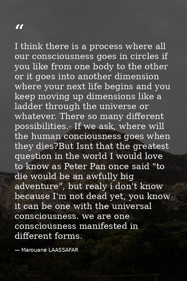 I think there is a process where all our consciousness goes in circles if you like from one body to the other or it goes — Marouane LAASSAFAR