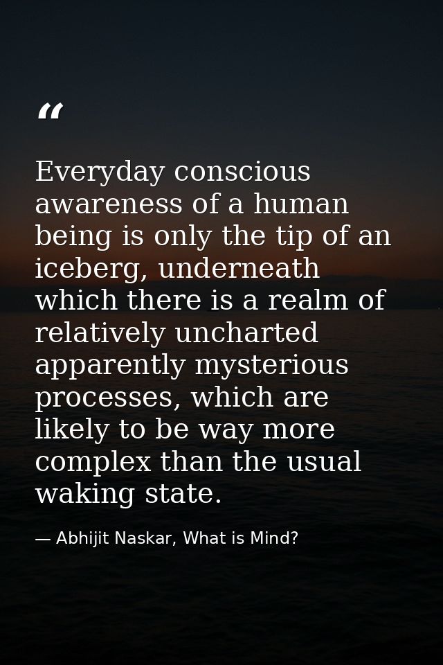 Everyday conscious awareness of a human being is only the tip of an iceberg, underneath which there is a realm of relati — Abhijit Naskar, What is Mind?