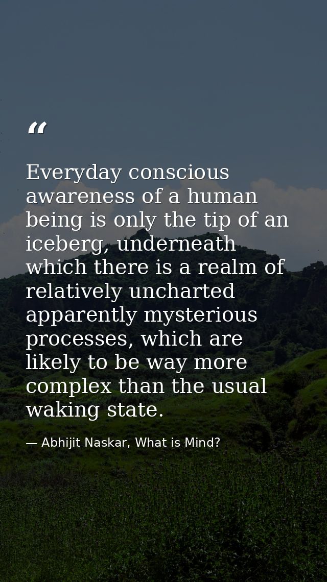 Everyday conscious awareness of a human being is only the tip of an iceberg, underneath which there is a realm of relati — Abhijit Naskar, What is Mind?