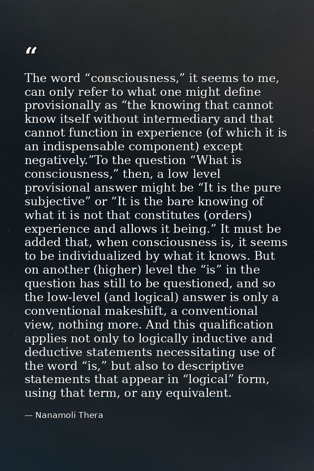 The word “consciousness,” it seems to me, can only refer to what one might define provisionally as “the knowing that can — Nanamoli Thera