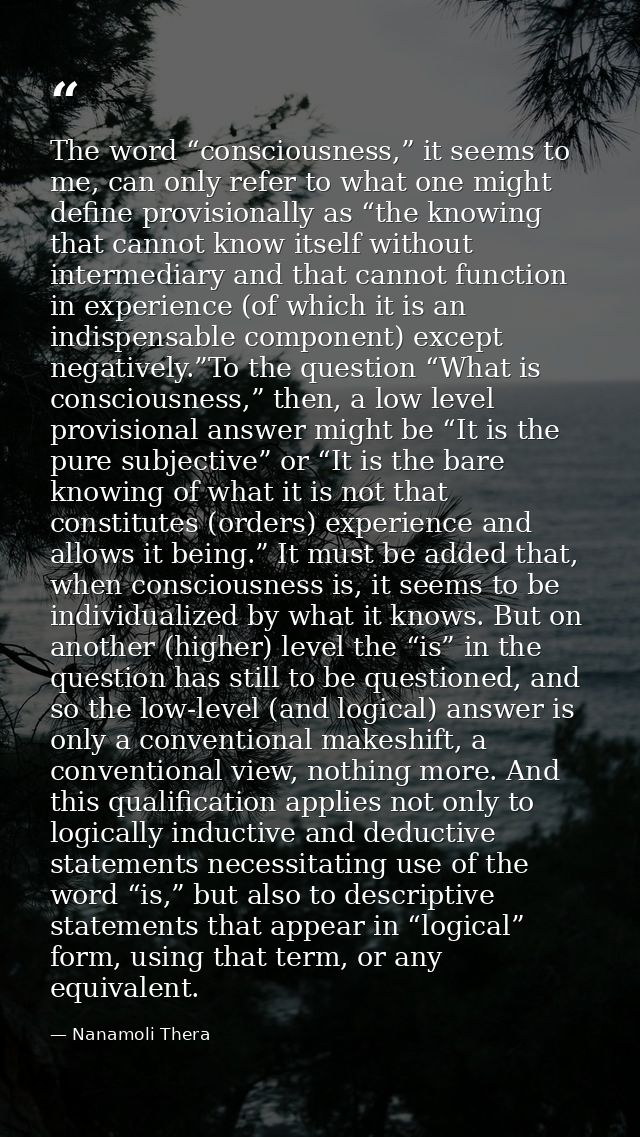 The word “consciousness,” it seems to me, can only refer to what one might define provisionally as “the knowing that can — Nanamoli Thera