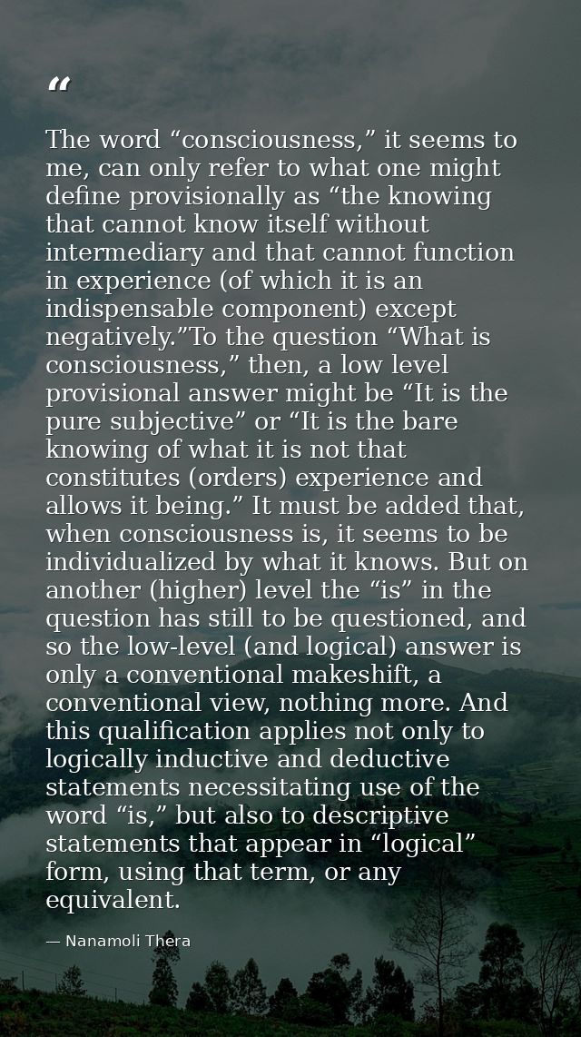 The word “consciousness,” it seems to me, can only refer to what one might define provisionally as “the knowing that can — Nanamoli Thera