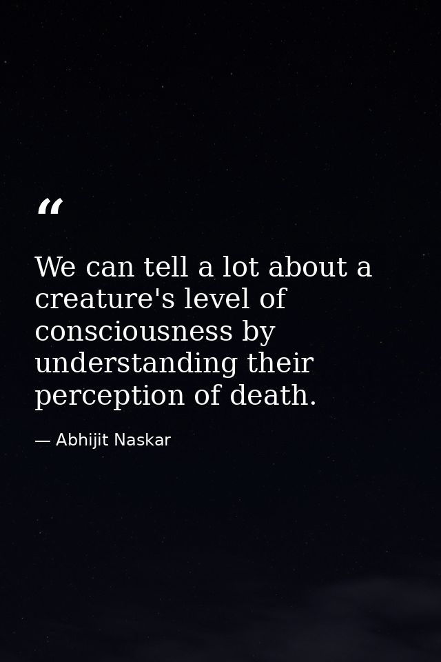 We can tell a lot about a creature's level of consciousness by understanding their perception of death. — Abhijit Naskar