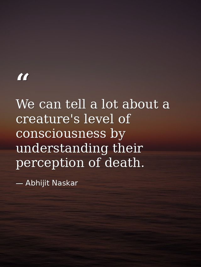 We can tell a lot about a creature's level of consciousness by understanding their perception of death. — Abhijit Naskar