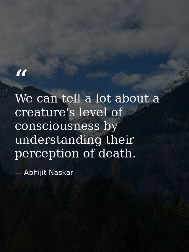 We can tell a lot about a creature's level of consciousness by understanding their perception of death. — Abhijit Naskar