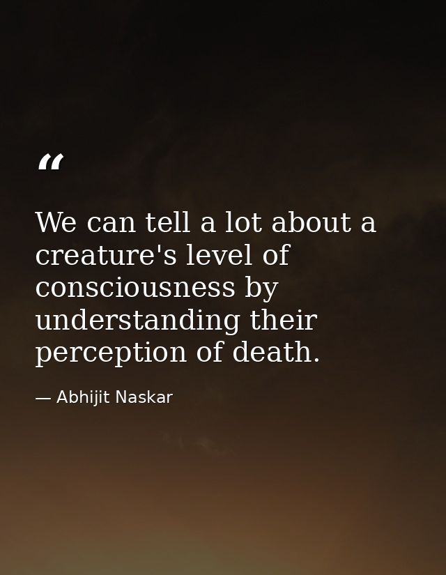 We can tell a lot about a creature's level of consciousness by understanding their perception of death. — Abhijit Naskar