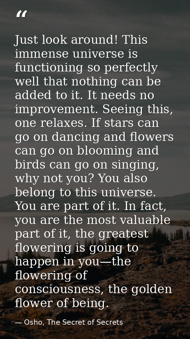 Just look around! This immense universe is functioning so perfectly well that nothing can be added to it. It needs no im — Osho, The Secret of Secrets