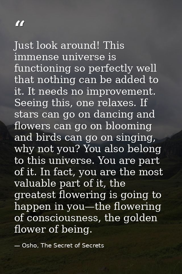 Just look around! This immense universe is functioning so perfectly well that nothing can be added to it. It needs no im — Osho, The Secret of Secrets