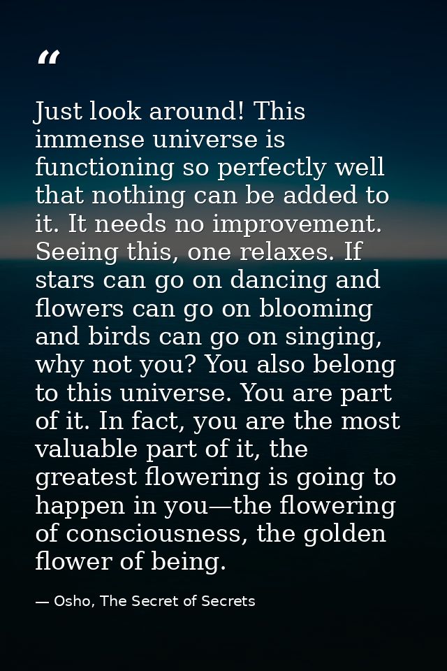 Just look around! This immense universe is functioning so perfectly well that nothing can be added to it. It needs no im — Osho, The Secret of Secrets