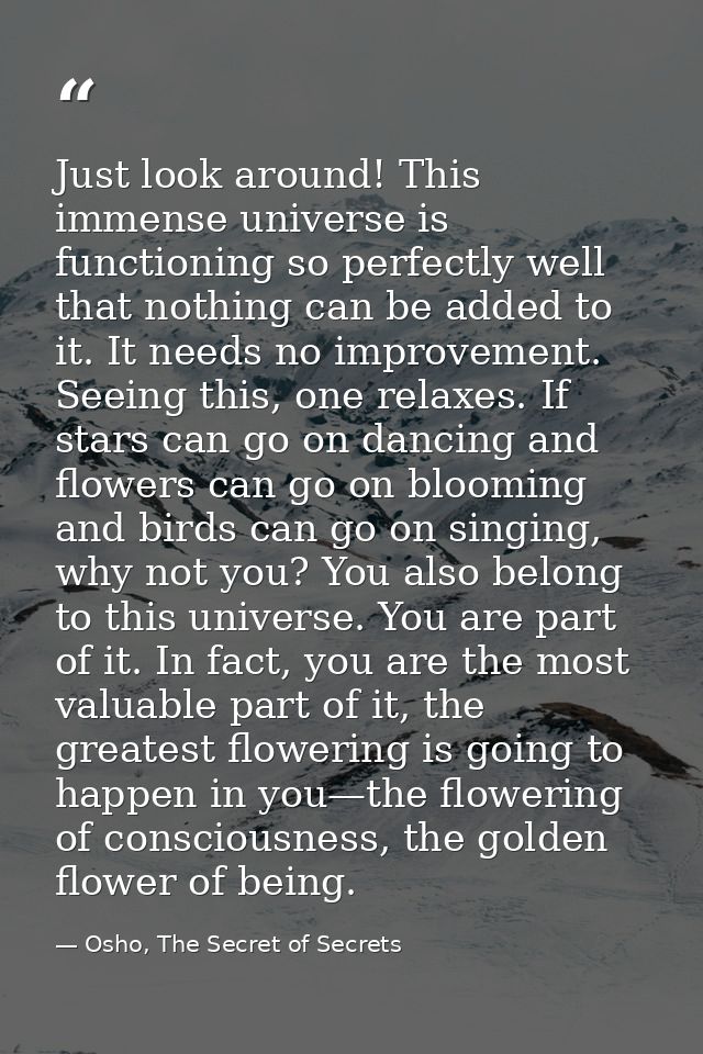 Just look around! This immense universe is functioning so perfectly well that nothing can be added to it. It needs no im — Osho, The Secret of Secrets
