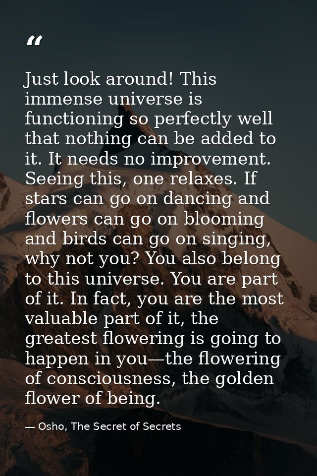 Just look around! This immense universe is functioning so perfectly well that nothing can be added to it. It needs no im — Osho, The Secret of Secrets