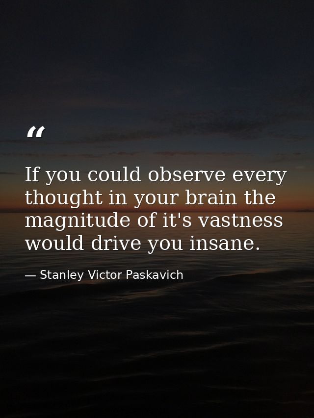 If you could observe every thought in your brain the magnitude of it's vastness would drive you insane. — Stanley Victor Paskavich