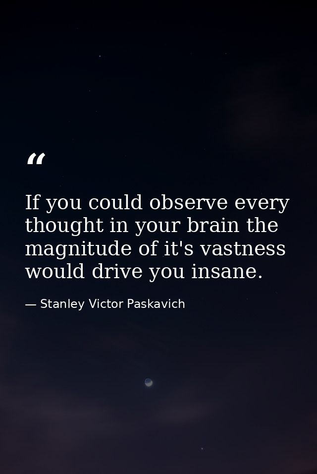 If you could observe every thought in your brain the magnitude of it's vastness would drive you insane. — Stanley Victor Paskavich
