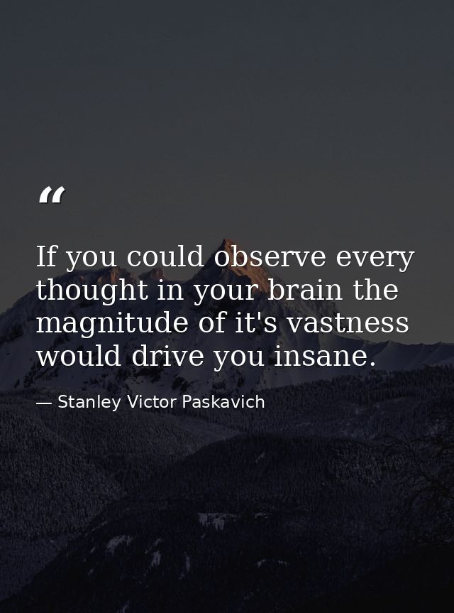If you could observe every thought in your brain the magnitude of it's vastness would drive you insane. — Stanley Victor Paskavich