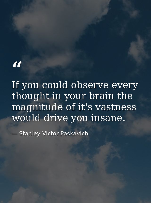 If you could observe every thought in your brain the magnitude of it's vastness would drive you insane. — Stanley Victor Paskavich