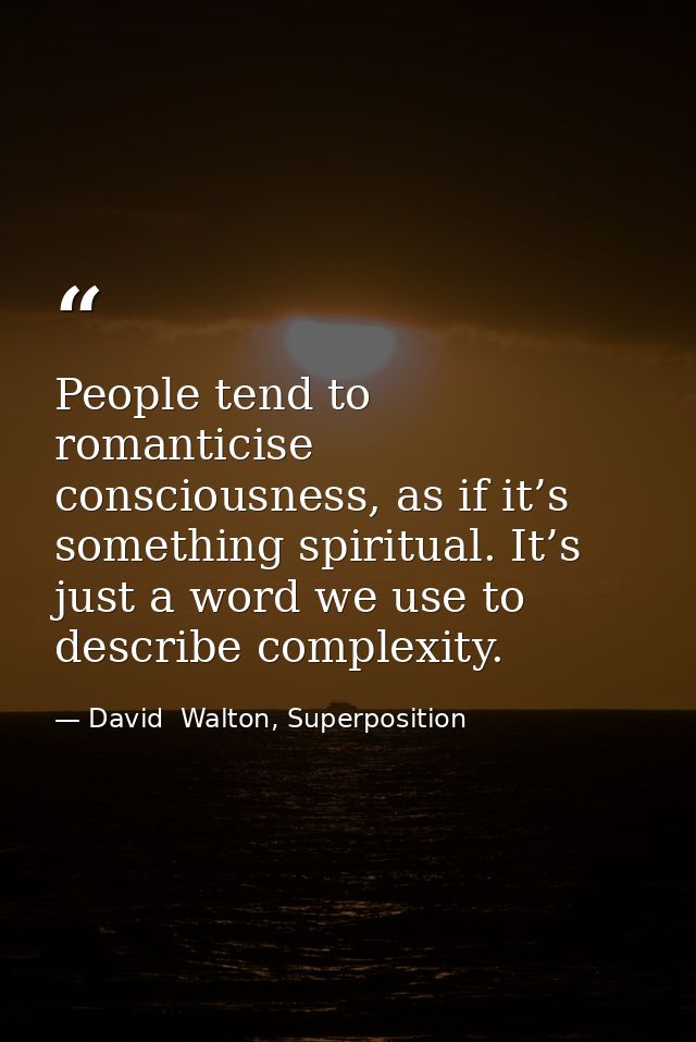 People tend to romanticise consciousness, as if it’s something spiritual. It’s just a word we use to describe complexity — David  Walton, Superposition