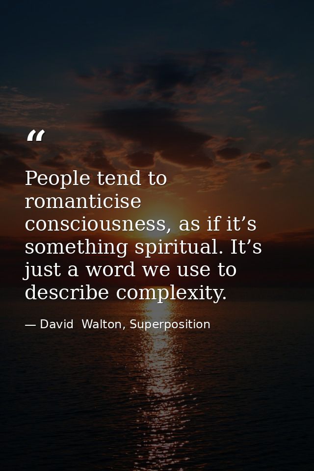 People tend to romanticise consciousness, as if it’s something spiritual. It’s just a word we use to describe complexity — David  Walton, Superposition