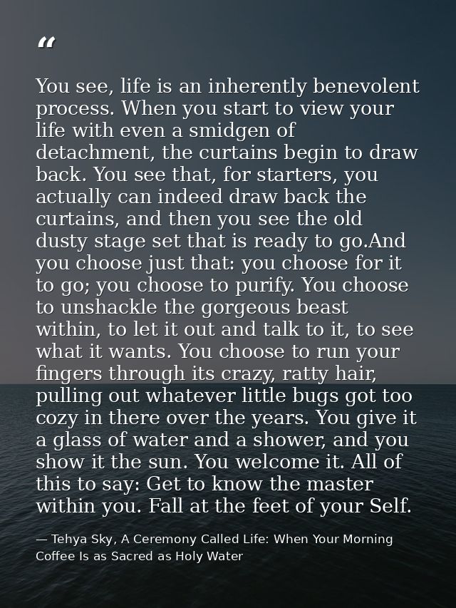 You see, life is an inherently benevolent process. When you start to view your life with even a smidgen of detachment, t — Tehya Sky, A Ceremony Called Life: When Your Morning Coffee Is as Sacred as Holy Water