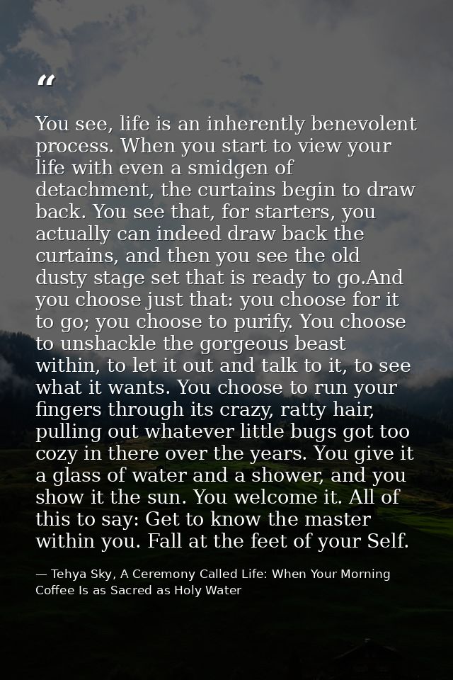 You see, life is an inherently benevolent process. When you start to view your life with even a smidgen of detachment, t — Tehya Sky, A Ceremony Called Life: When Your Morning Coffee Is as Sacred as Holy Water