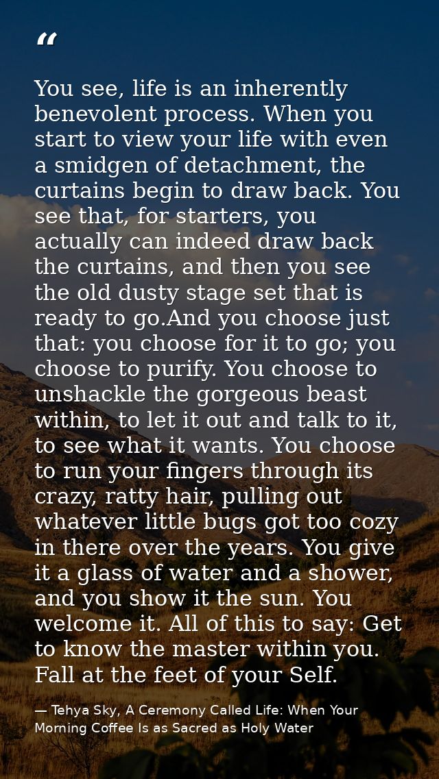You see, life is an inherently benevolent process. When you start to view your life with even a smidgen of detachment, t — Tehya Sky, A Ceremony Called Life: When Your Morning Coffee Is as Sacred as Holy Water