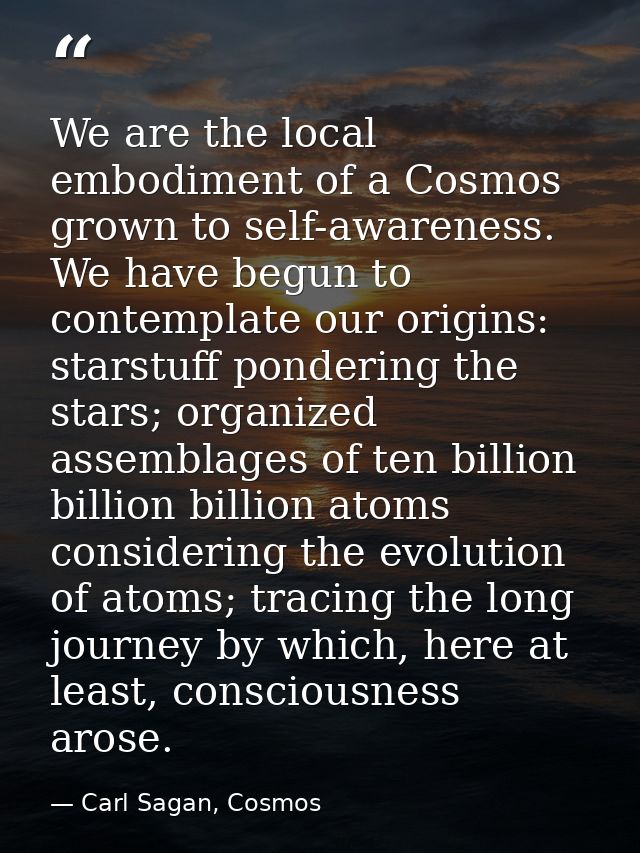 We are the local embodiment of a Cosmos grown to self-awareness. We have begun to contemplate our origins: starstuff pon — Carl Sagan, Cosmos