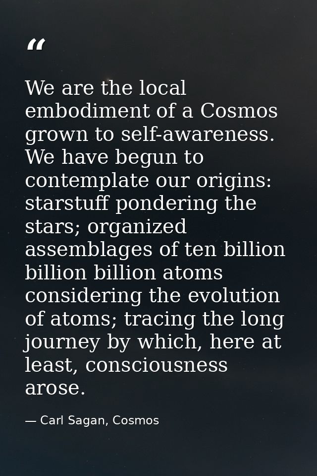 We are the local embodiment of a Cosmos grown to self-awareness. We have begun to contemplate our origins: starstuff pon — Carl Sagan, Cosmos
