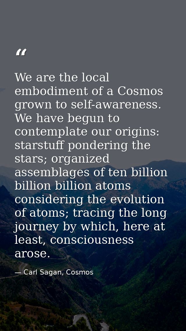 We are the local embodiment of a Cosmos grown to self-awareness. We have begun to contemplate our origins: starstuff pon — Carl Sagan, Cosmos