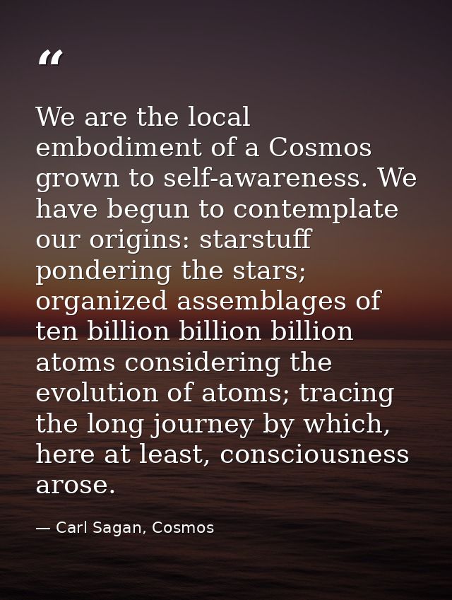 We are the local embodiment of a Cosmos grown to self-awareness. We have begun to contemplate our origins: starstuff pon — Carl Sagan, Cosmos