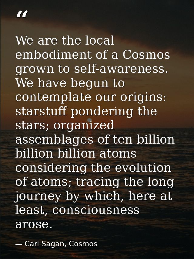 We are the local embodiment of a Cosmos grown to self-awareness. We have begun to contemplate our origins: starstuff pon — Carl Sagan, Cosmos
