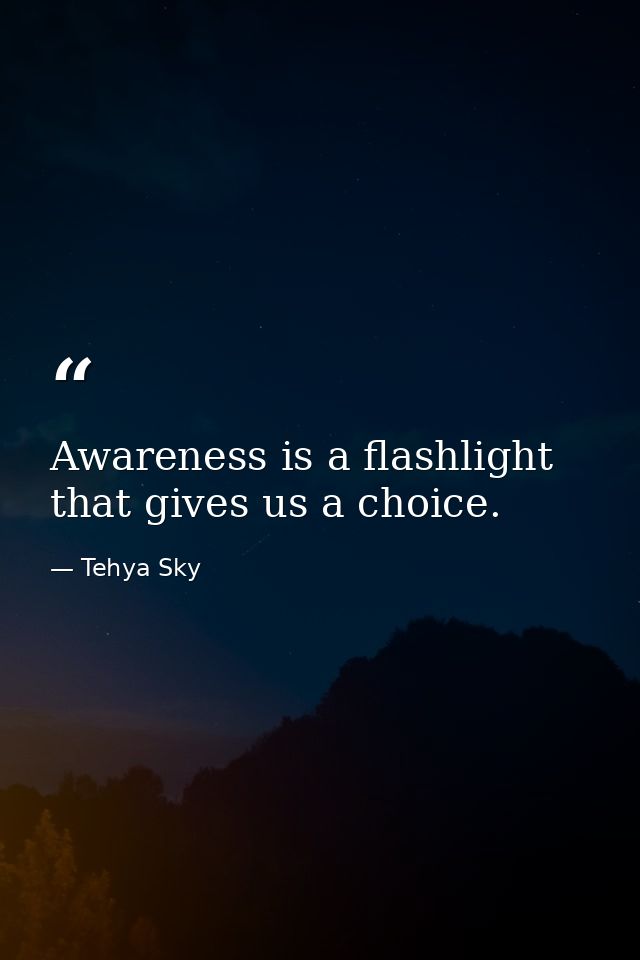 Awareness is a flashlight that gives us a choice. — Tehya Sky
