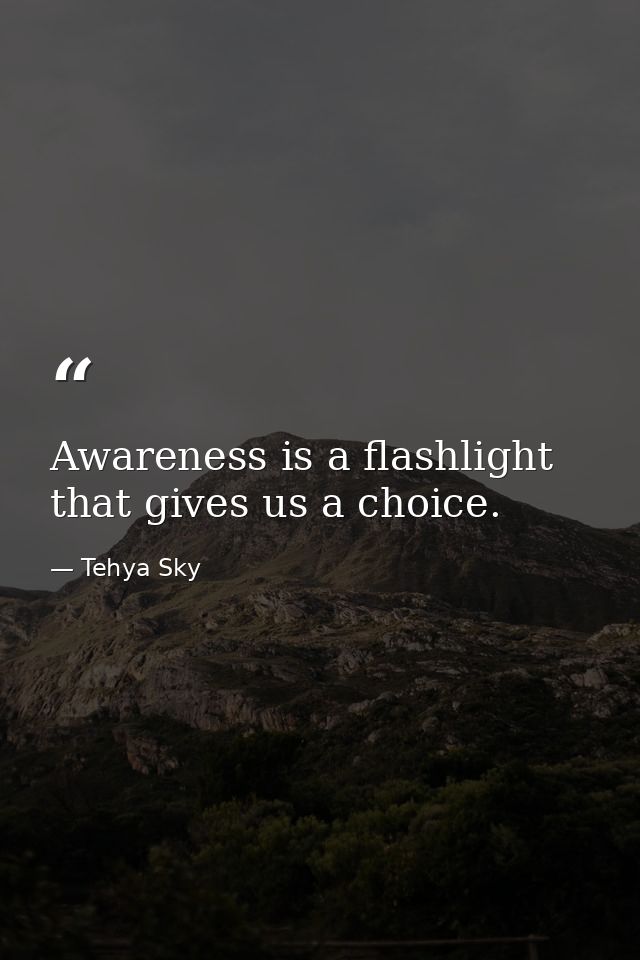 Awareness is a flashlight that gives us a choice. — Tehya Sky